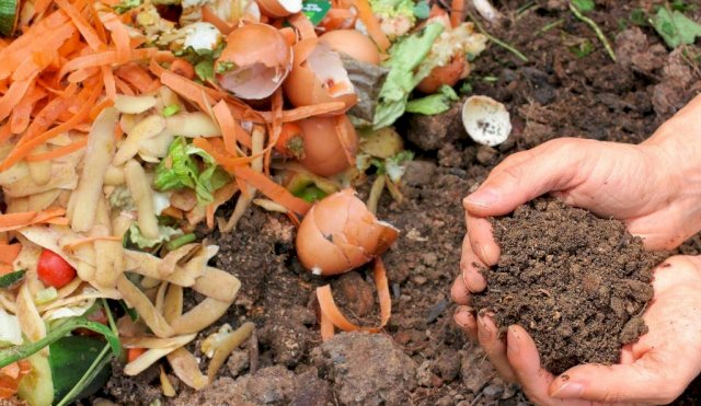 compost la madrid