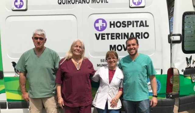 hospitalVete_movil_Dolores