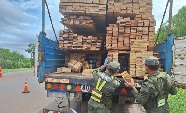 Una perra de Gendarmería detectó seis toneladas de marihuana en una carga de madera