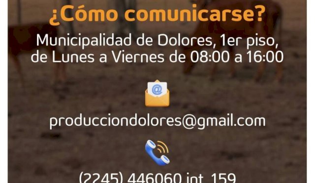 emergencia_dolores_comunicacion