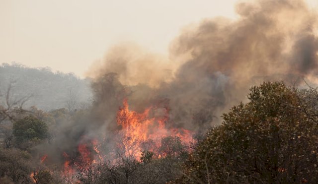 INCENDIOS CÓRDOBA