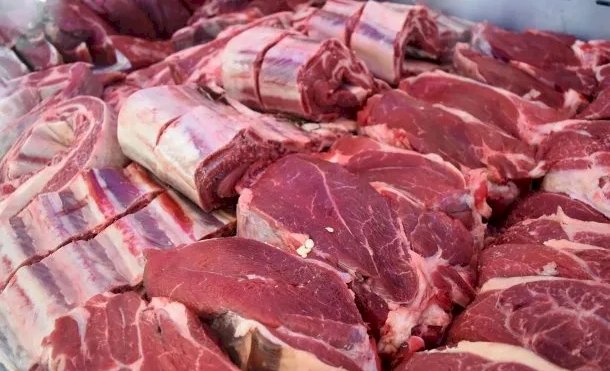 AUMENTO DE LAS CARNES