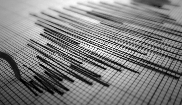 TERREMOTOUSUHIA